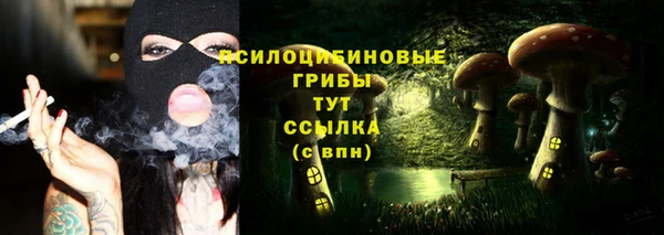 стафф Арсеньев