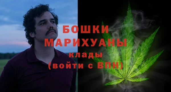 ПСИЛОЦИБИНОВЫЕ ГРИБЫ Аркадак