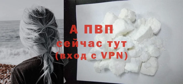 стафф Арсеньев