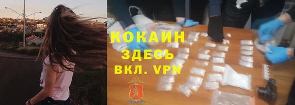 ПСИЛОЦИБИНОВЫЕ ГРИБЫ Аркадак
