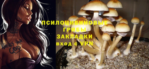 стафф Арсеньев