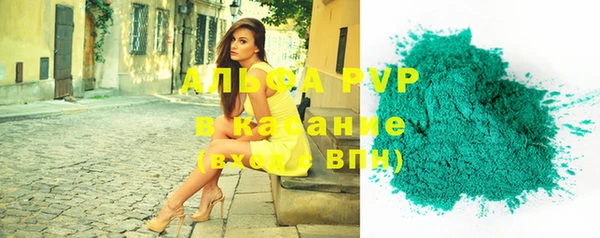 стафф Арсеньев